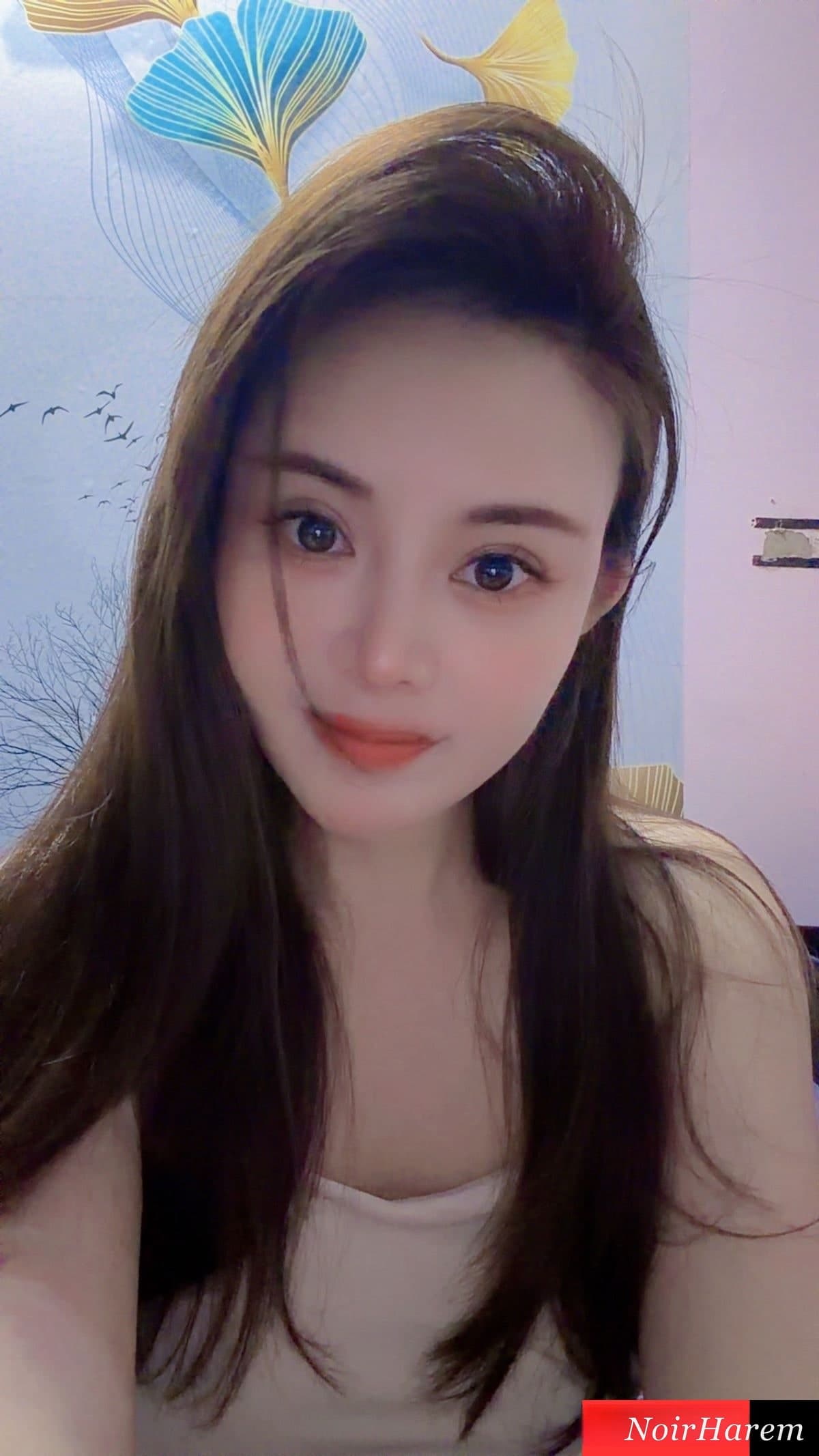 Anqi — 1